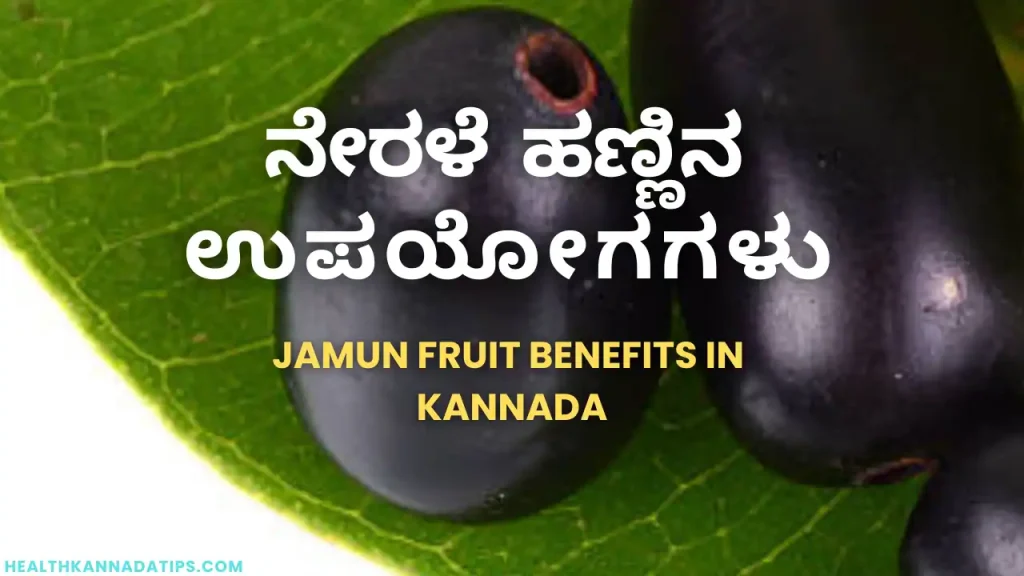 ನೇರಳೆ ಹಣ್ಣಿನ ಉಪಯೋಗಗಳು – Jamun fruit benefits in Kannada