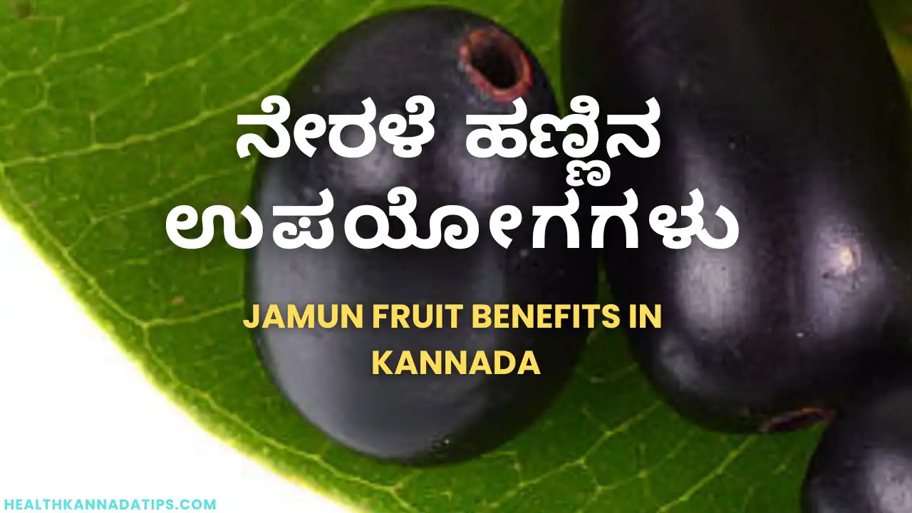 ನೇರಳೆ ಹಣ್ಣಿನ ಉಪಯೋಗಗಳು – Jamun fruit benefits in Kannada